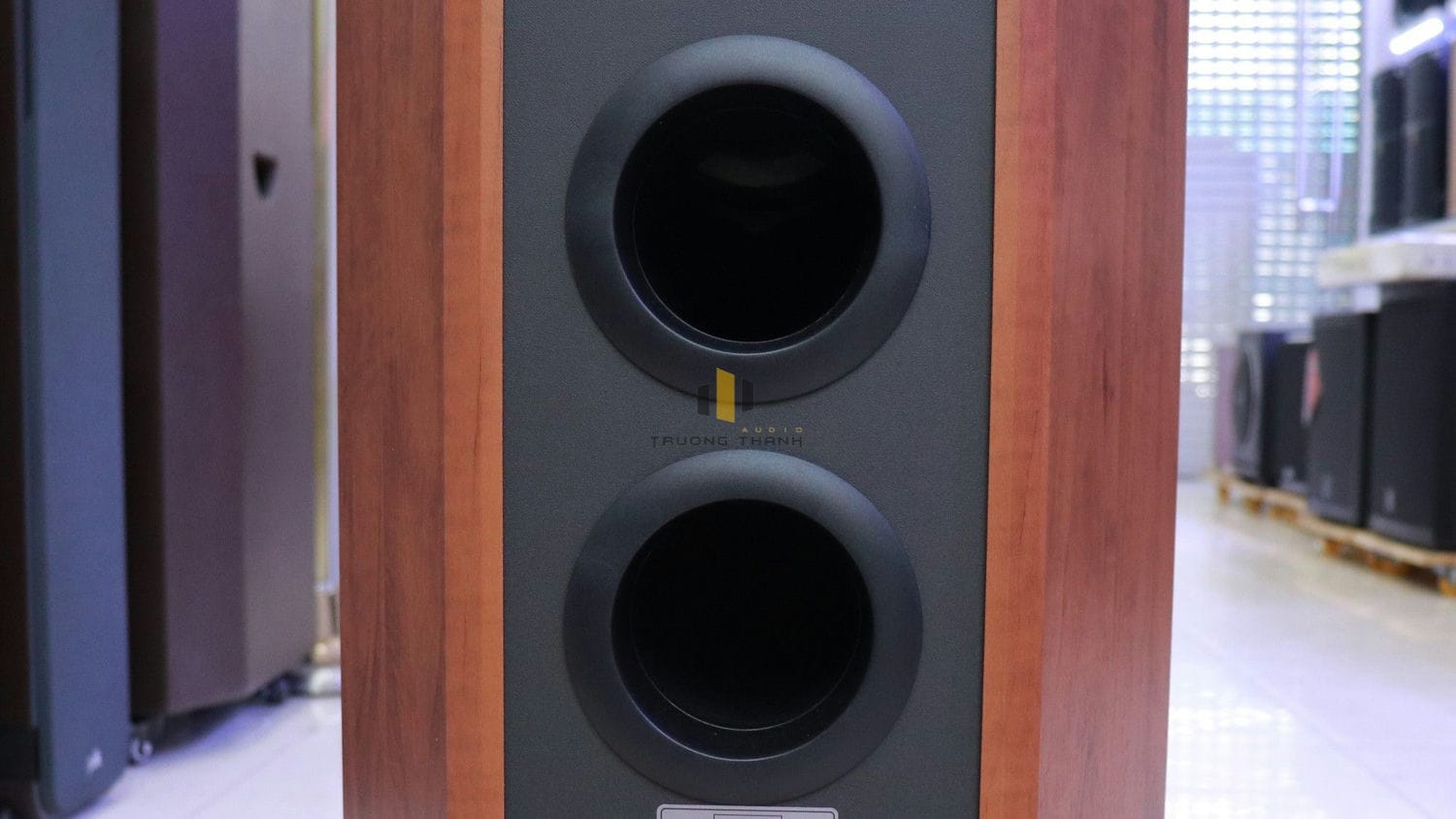 Ảnh sản phẩm Loa Paramax FX-2500 (Hàng Chính Hãng Likenew) 7