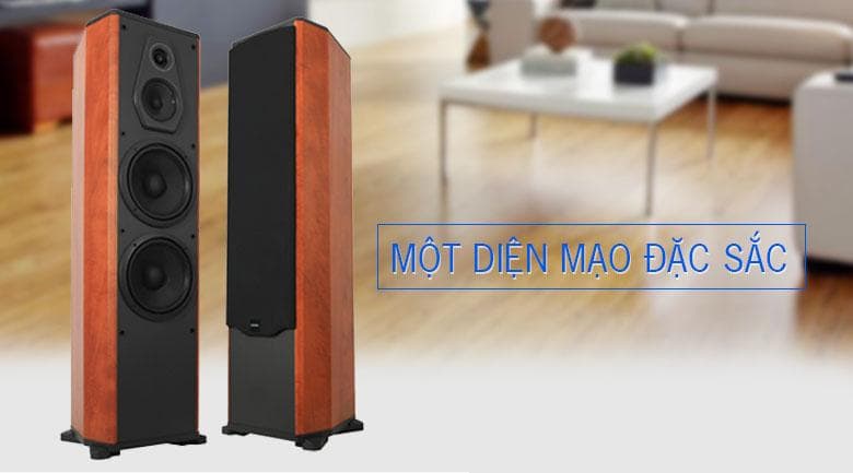 Loa Paramax FX-1500 | Diện mạo đặt sắc