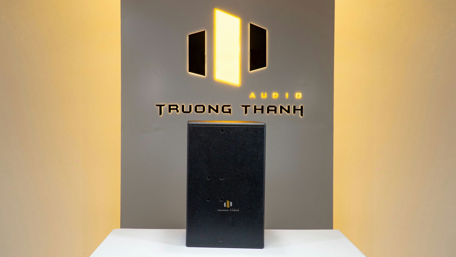 Mặt bên của Loa HK Audio KP12