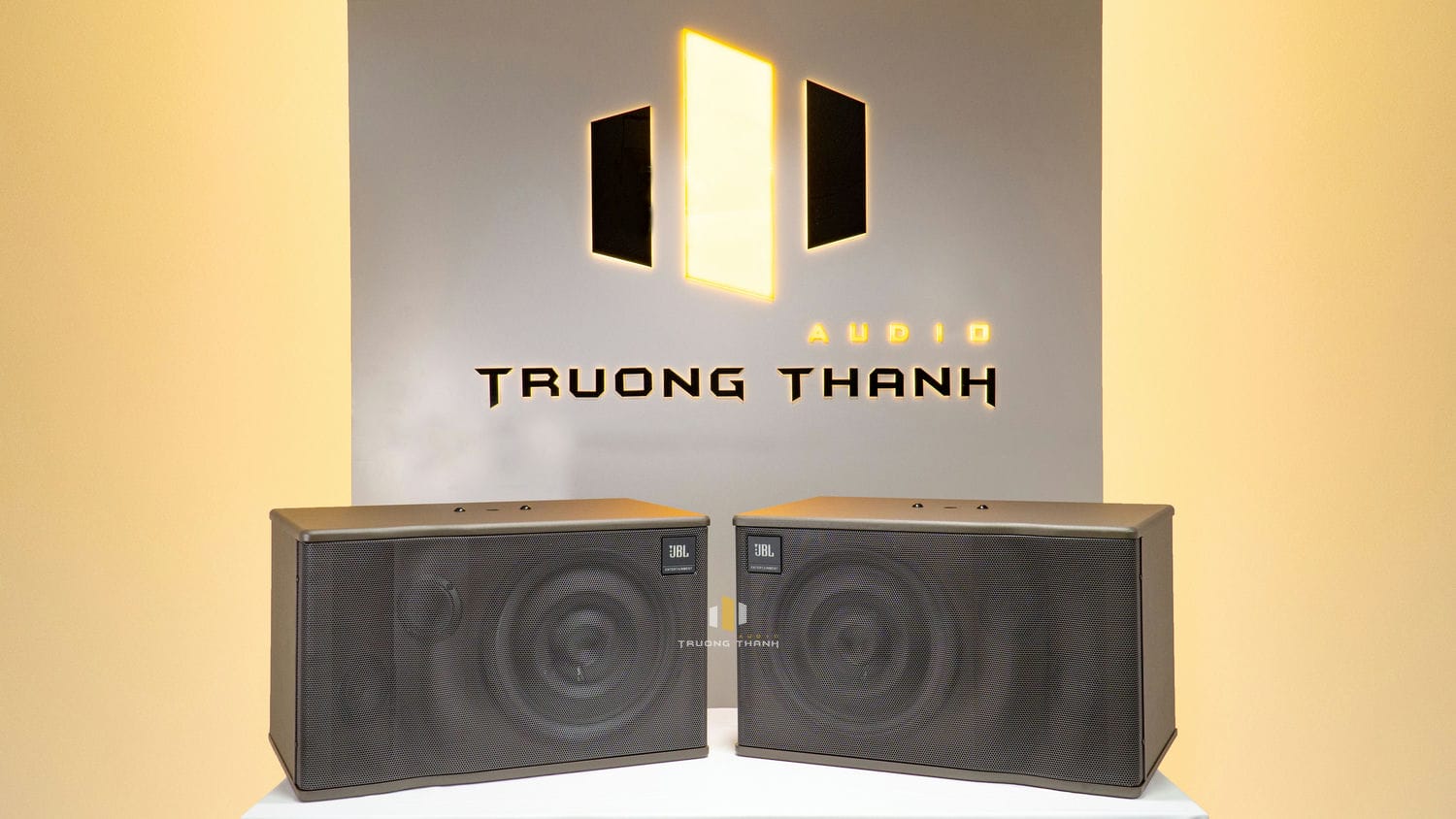 Mặt trước của đôi Loa karaoke JBL MK 10