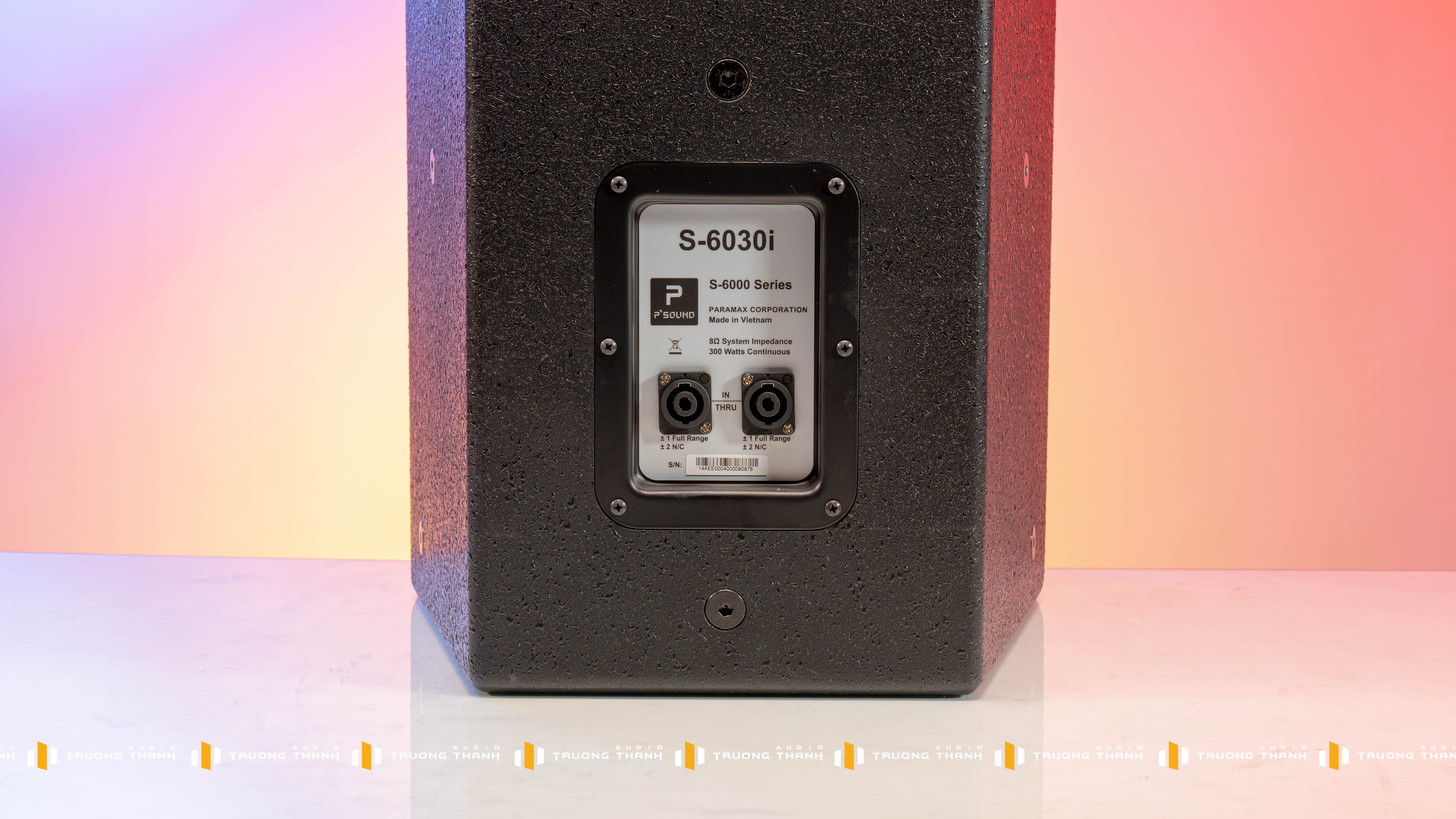 Ảnh sản phẩm Loa Karaoke P'SOUND S6030i (full bass 30cm, 2 đường tiếng) 9