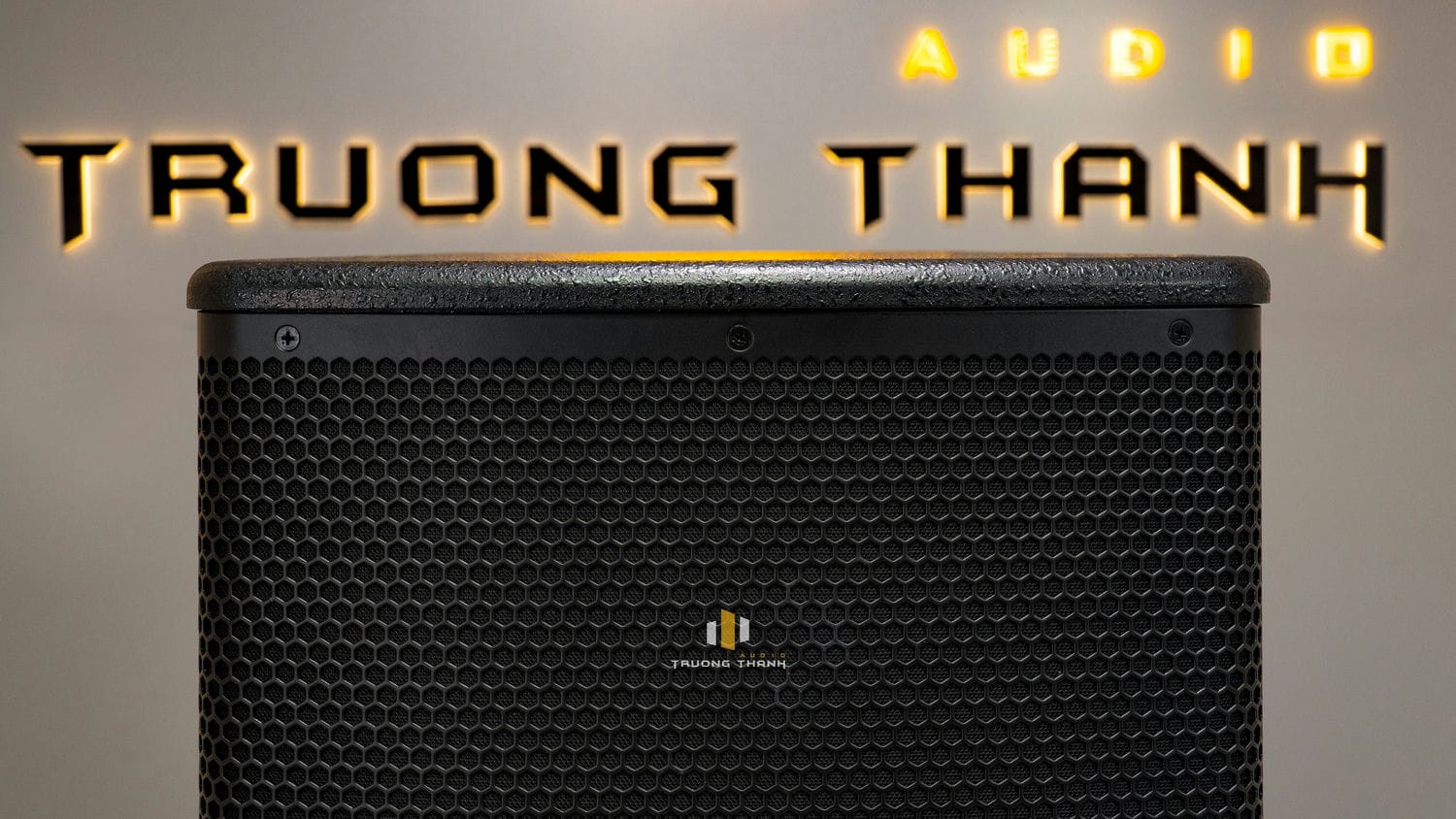 Ảnh sản phẩm Loa Karaoke Paramax PRO V30 (Hàng Chính Hãng Likenew) 8