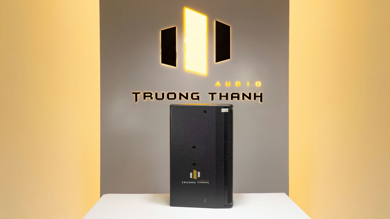 Ảnh sản phẩm Loa Karaoke Paramax PRO V30 (Hàng Chính Hãng Likenew) 3