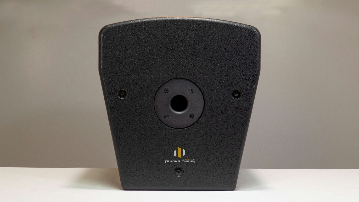 Ảnh sản phẩm Loa Karaoke Paramax PRO V30 (Hàng Chính Hãng Likenew) 12