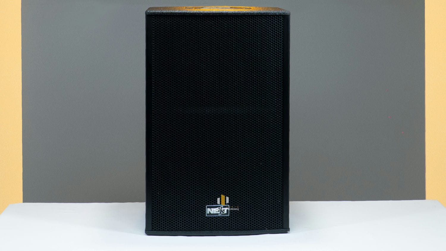 Mặt trước của Loa Next Proaudio PFA12