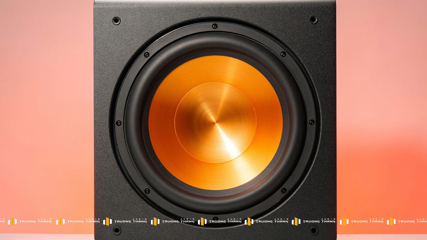 Ảnh sản phẩm Loa Sub PARAMAX SUB-D30 6