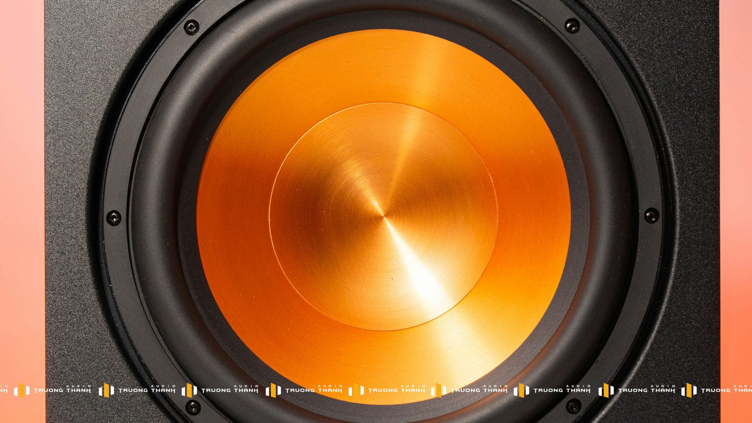 Ảnh sản phẩm Loa Sub PARAMAX SUB-D30 8