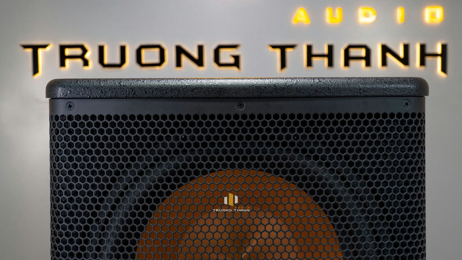 Ảnh sản phẩm Loa Sub Paramax Pro A30 4