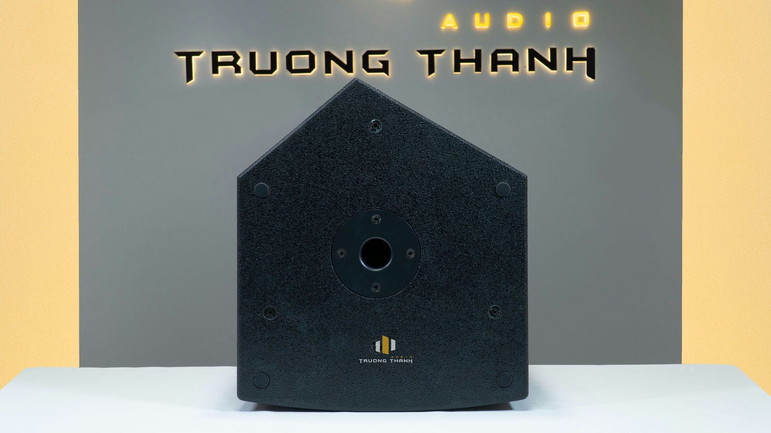 Ảnh nổi bật của sản phẩm Loa karaoke Next Proaudio PFA12P (full bass 30cm, 2 đường tiếng) 9