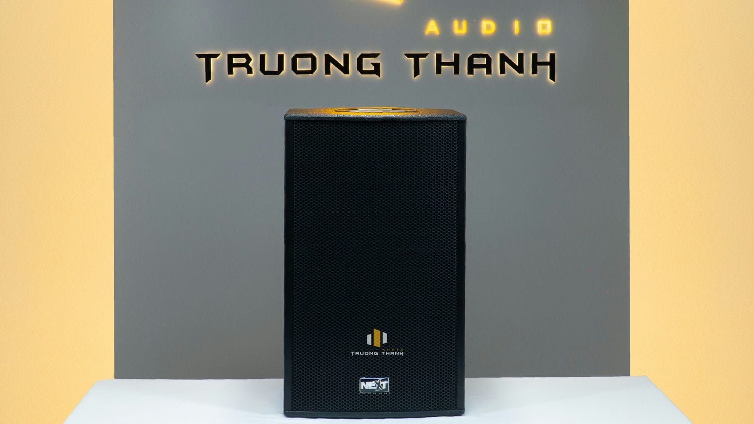 Ảnh nổi bật của sản phẩm Loa karaoke Next Proaudio PFA12P (full bass 30cm, 2 đường tiếng) 5