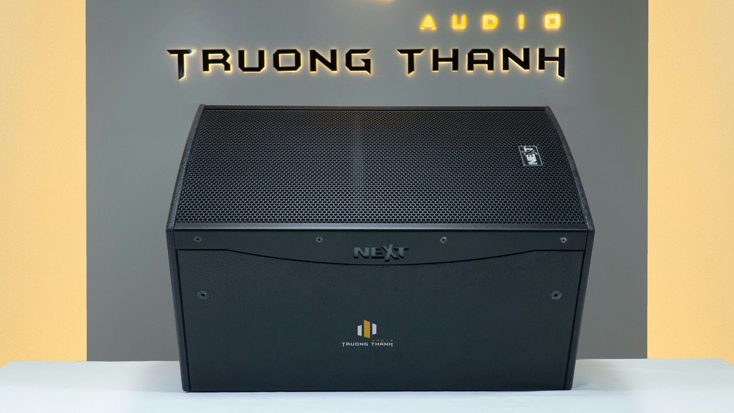 Ảnh nổi bật của sản phẩm Loa karaoke Next Proaudio PFA12P (full bass 30cm, 2 đường tiếng) 6