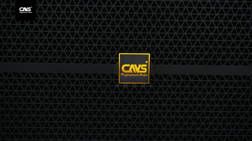 Ảnh nổi bật của sản phẩm Loa kéo CAVS PA215 2 Bass 40 12