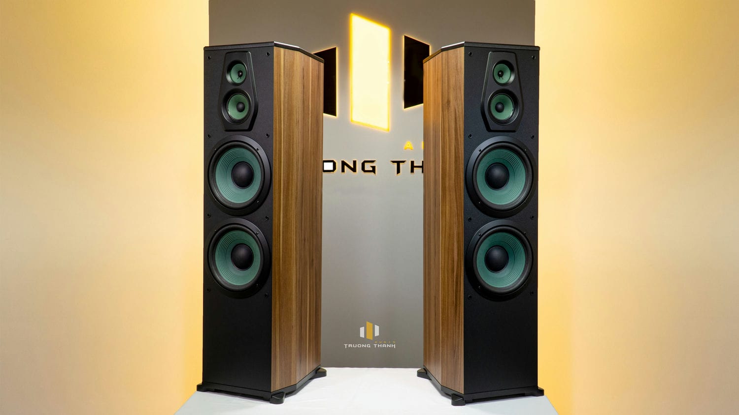 Ảnh sản phẩm Loa Paramax F-2500 ( 3 đường tiếng ) 3