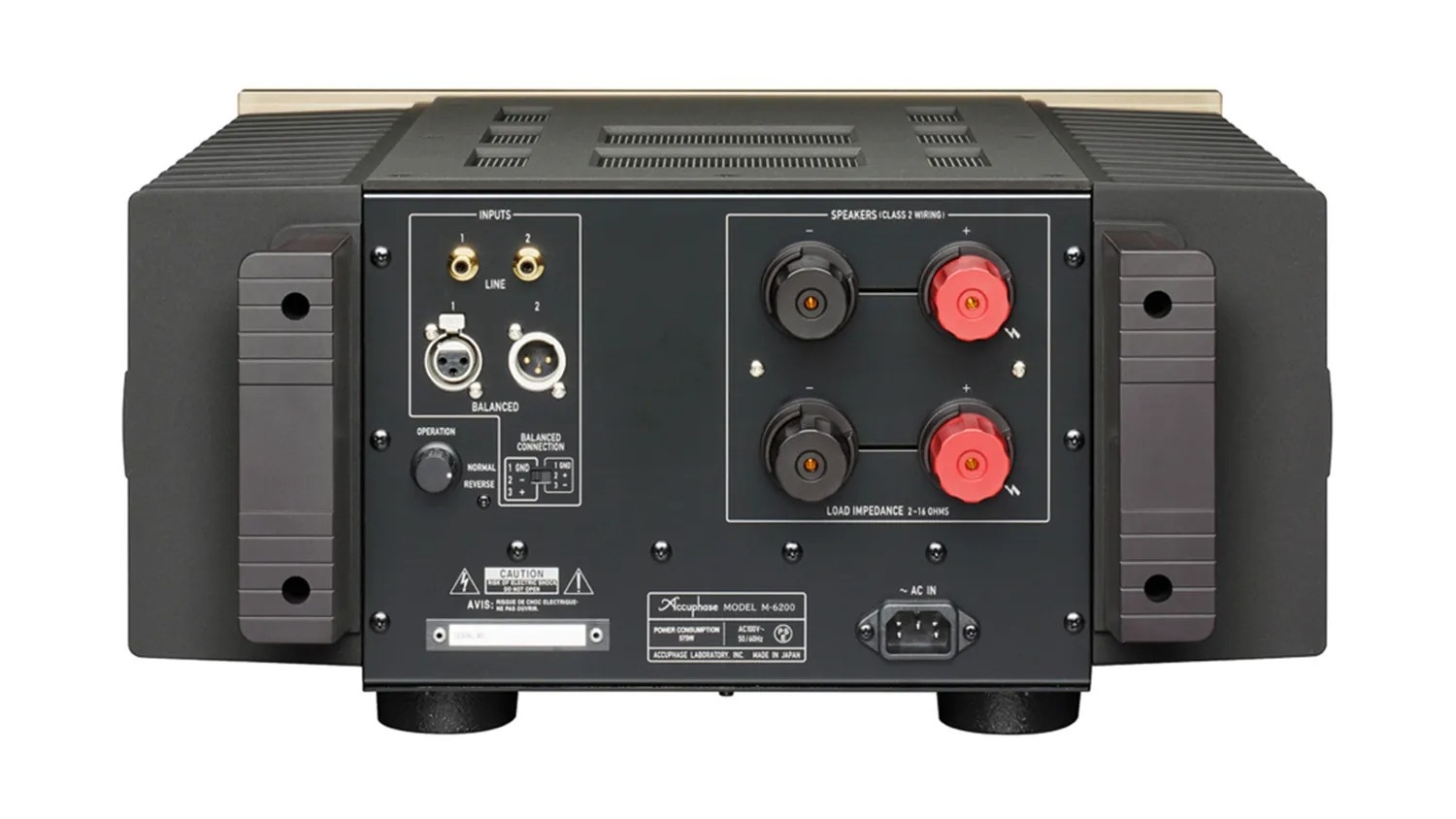 Mặt sau của Mono Power Amply ACCUPHASE M-6200