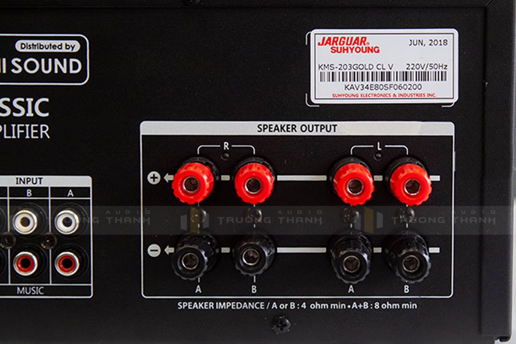 Amply Jarguar KMS-203 Gold Classic 10