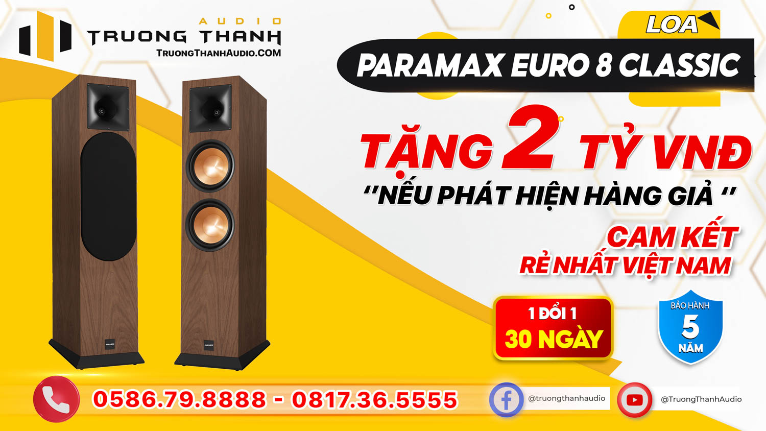Ảnh nổi bật của sản phẩm Loa Paramax Euro 8 Classic 1