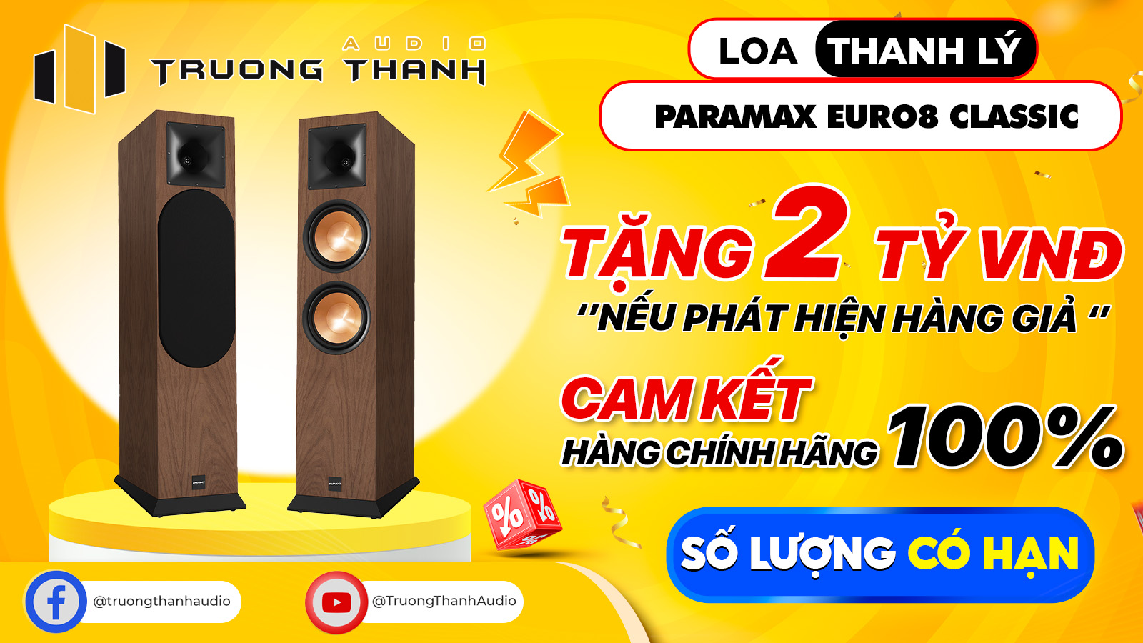 Ảnh nổi bật của sản phẩm Loa Paramax Euro 8 Classic (Hàng Chính Hãng Likenew) 1