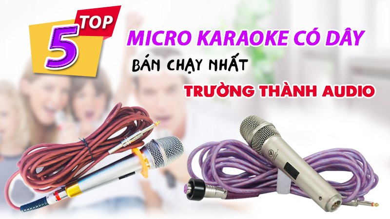 Top 10 micro karaoke có dây bán chạy nhất Trường Thành Audio