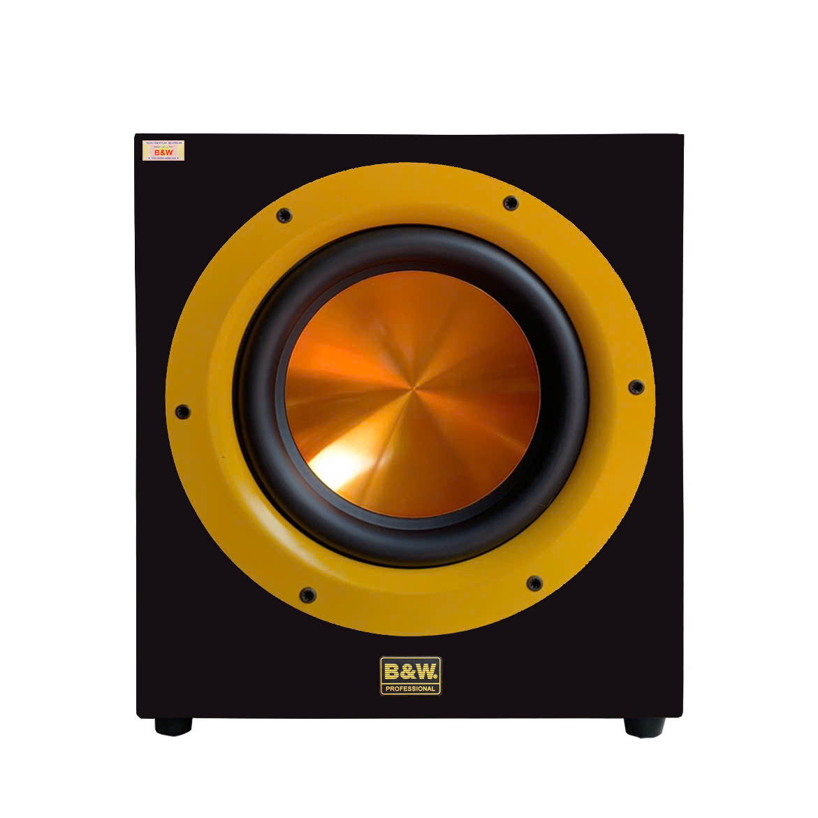 banner-truongthanh-BW-SW12plusmax-2
