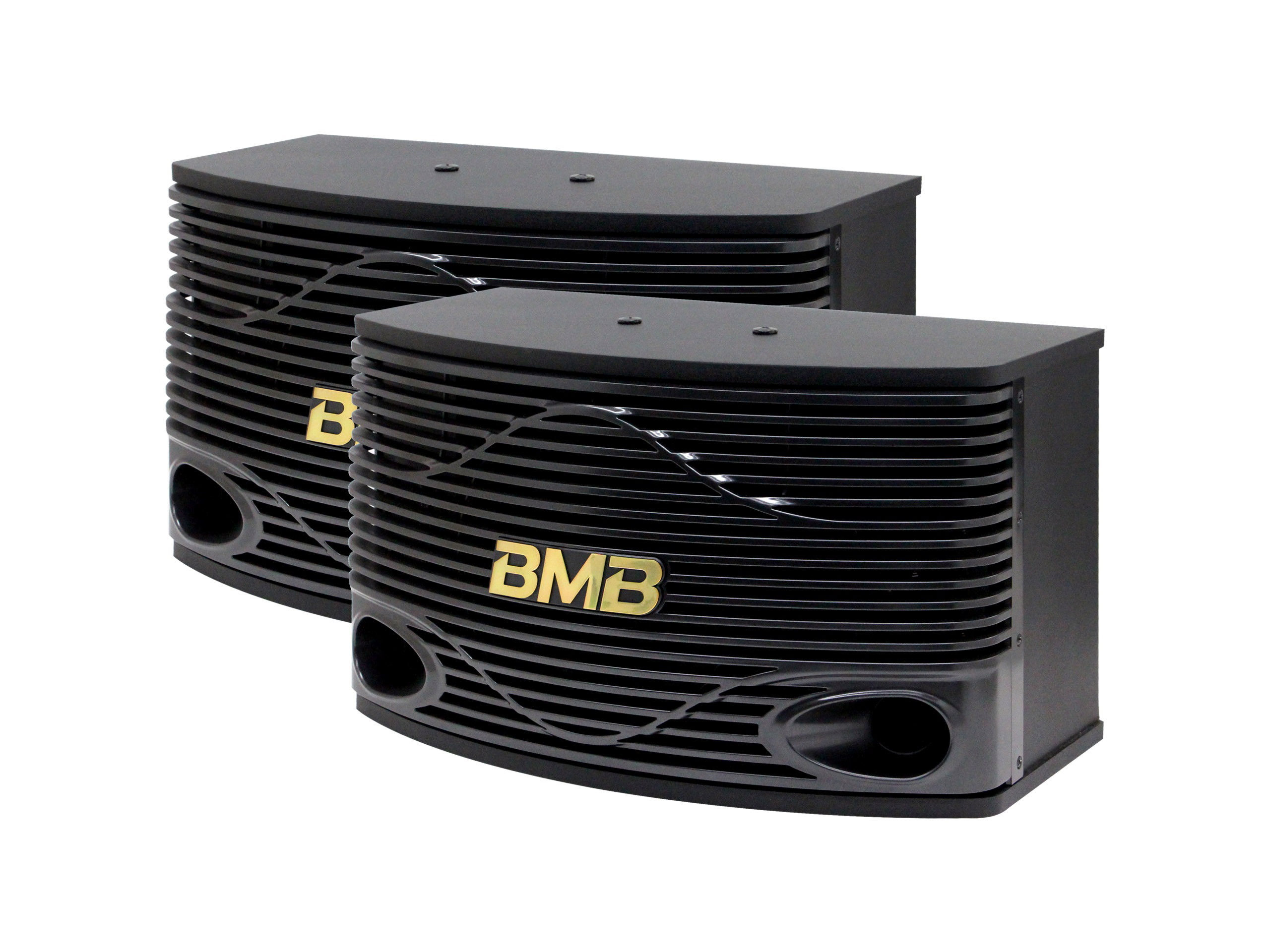 Loa BMB CSN 300SE 1