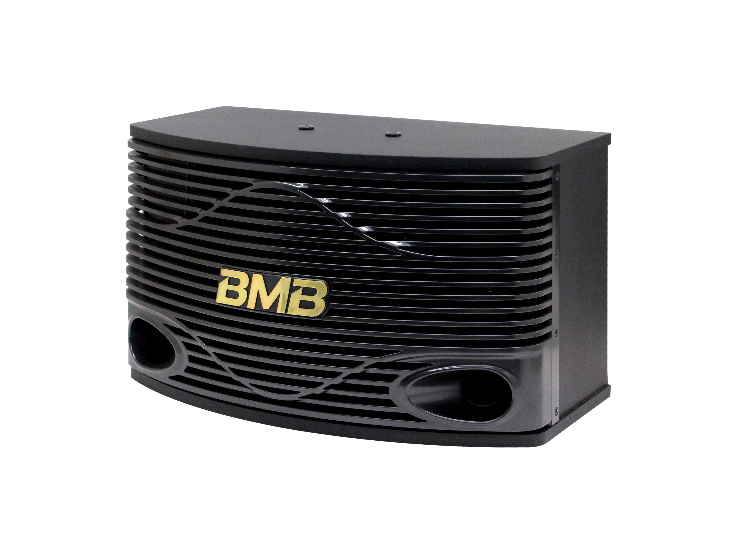 Loa BMB CSN 300SE 2