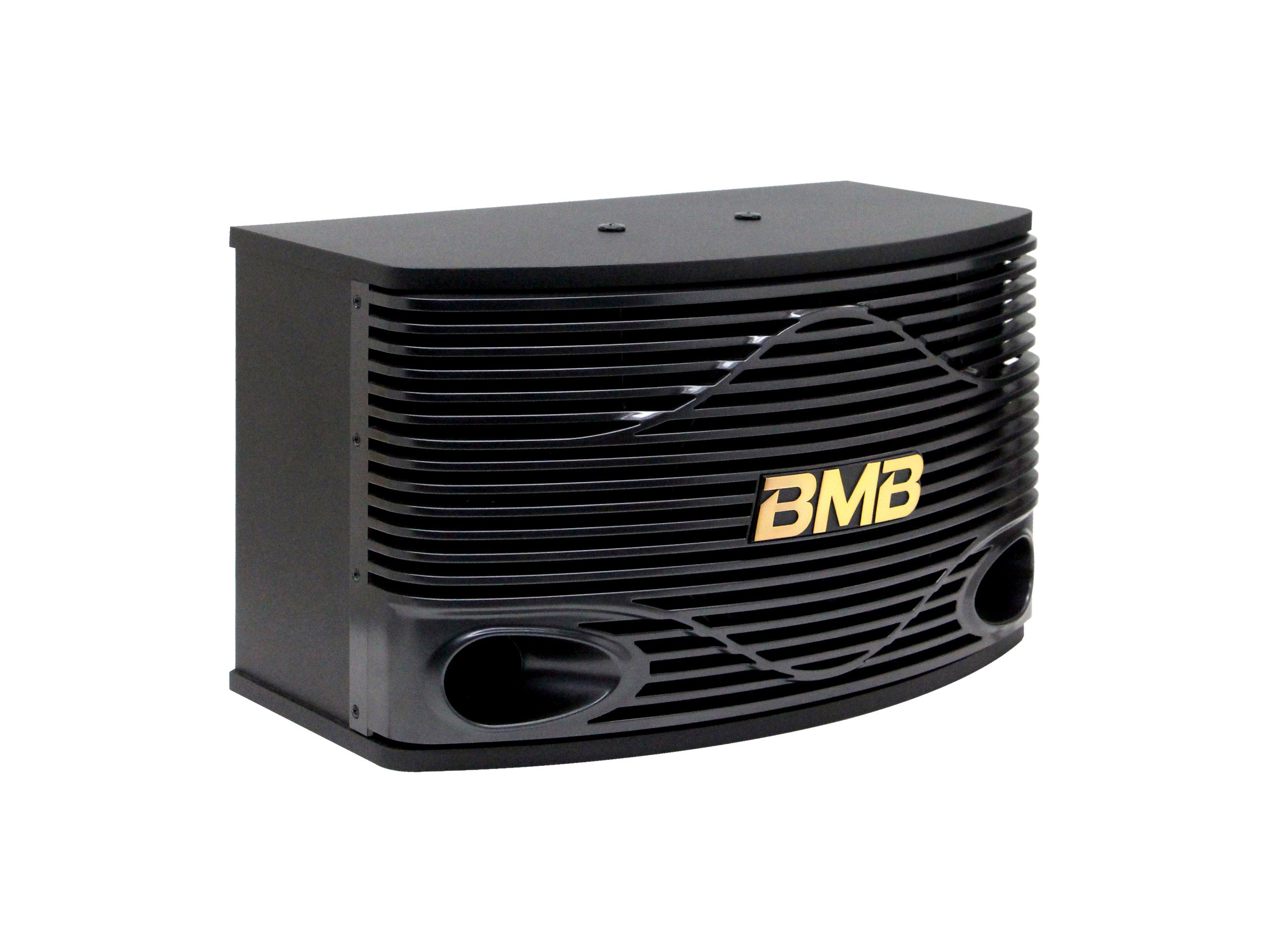 Loa BMB CSN 300SE 3