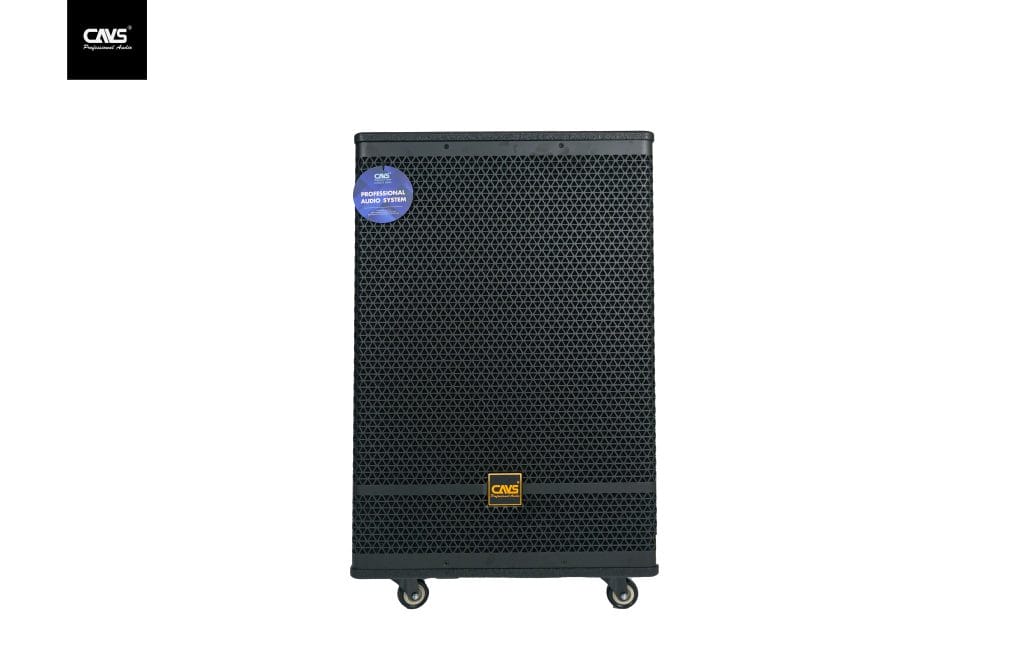 Ảnh sản phẩm Loa Kéo CAVS PA15 Bass 40 2