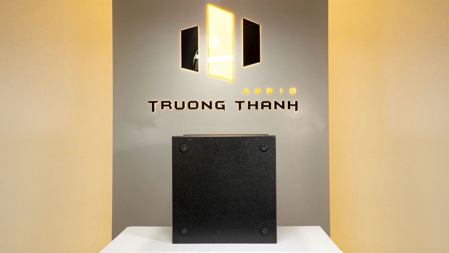 Ảnh sản phẩm Loa Sub hơi DT Sigma118 bass 50cm 5