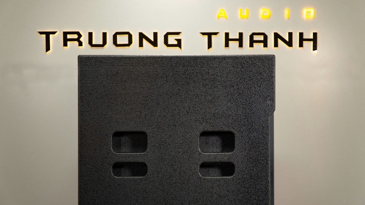 Ảnh sản phẩm Loa Sub hơi DT Sigma118 bass 50cm 13