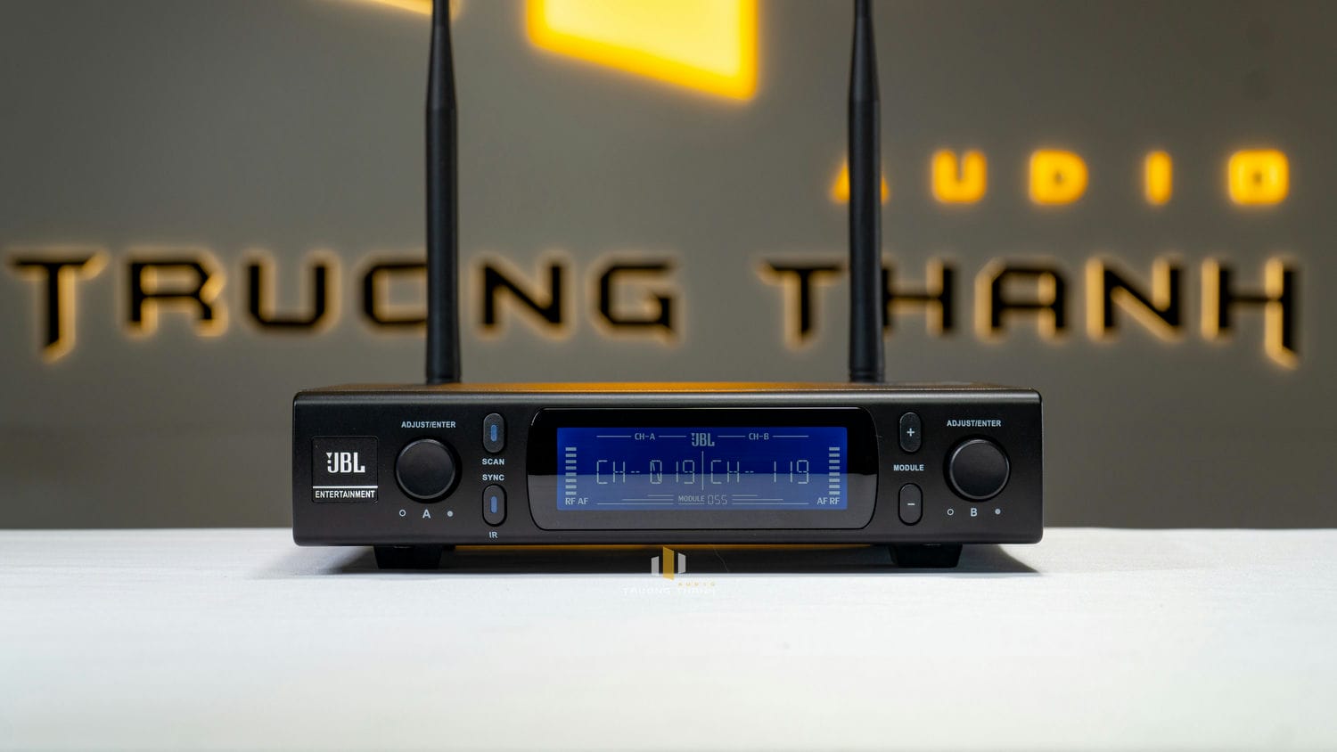 Ảnh sản phẩm Micro không dây JBL VM300 3