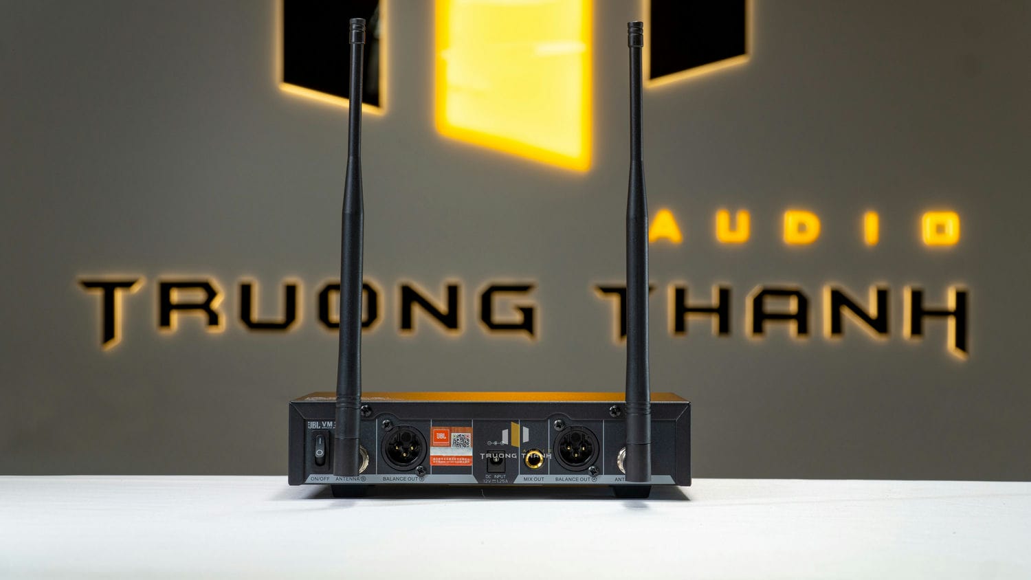 Ảnh sản phẩm Micro không dây JBL VM300 13