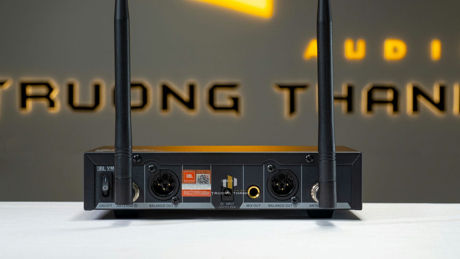 Ảnh sản phẩm Micro không dây JBL VM300 14