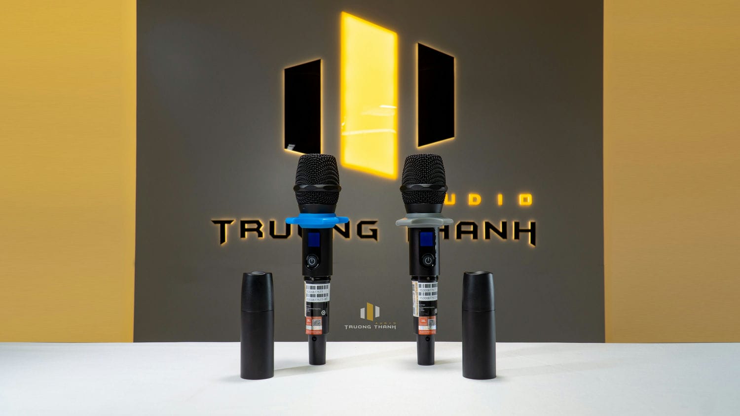 Ảnh sản phẩm Micro không dây JBL VM300 10