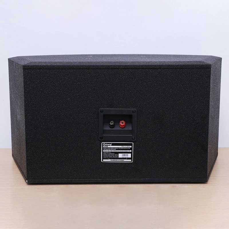 Loa Arirang S808 mặt sau