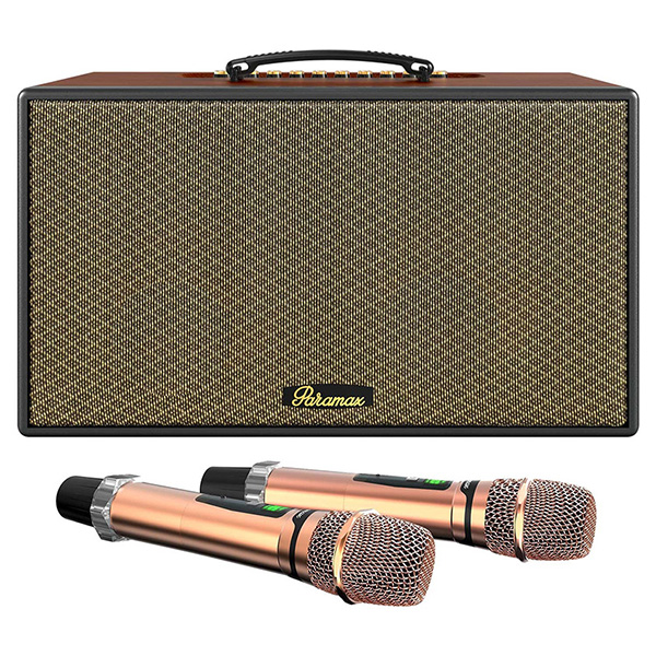 Loa Karaoke Di Động Paramax Aura