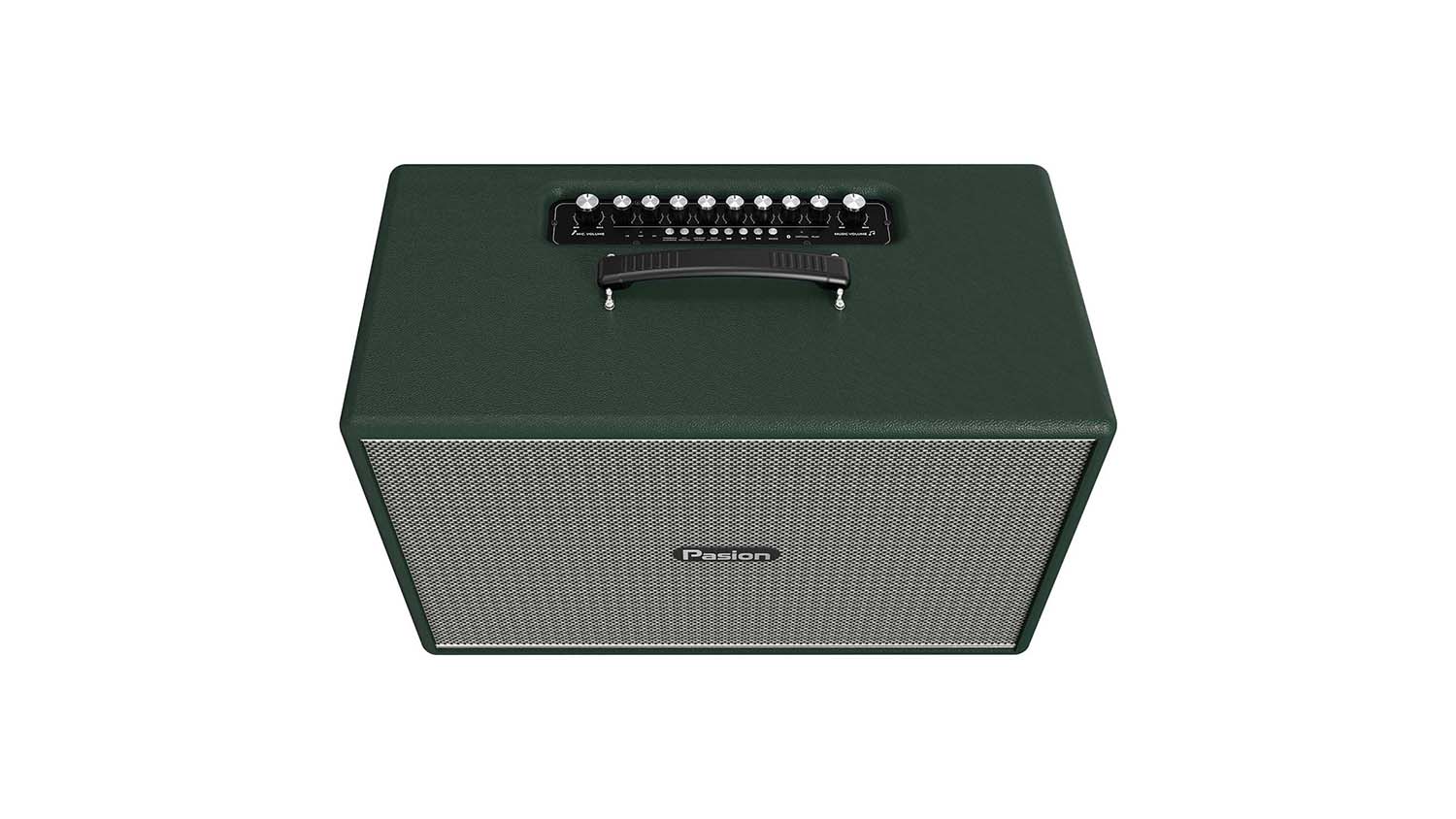 Loa Karaoke Di Động Paramax PASION Mozo màu Xanh 2