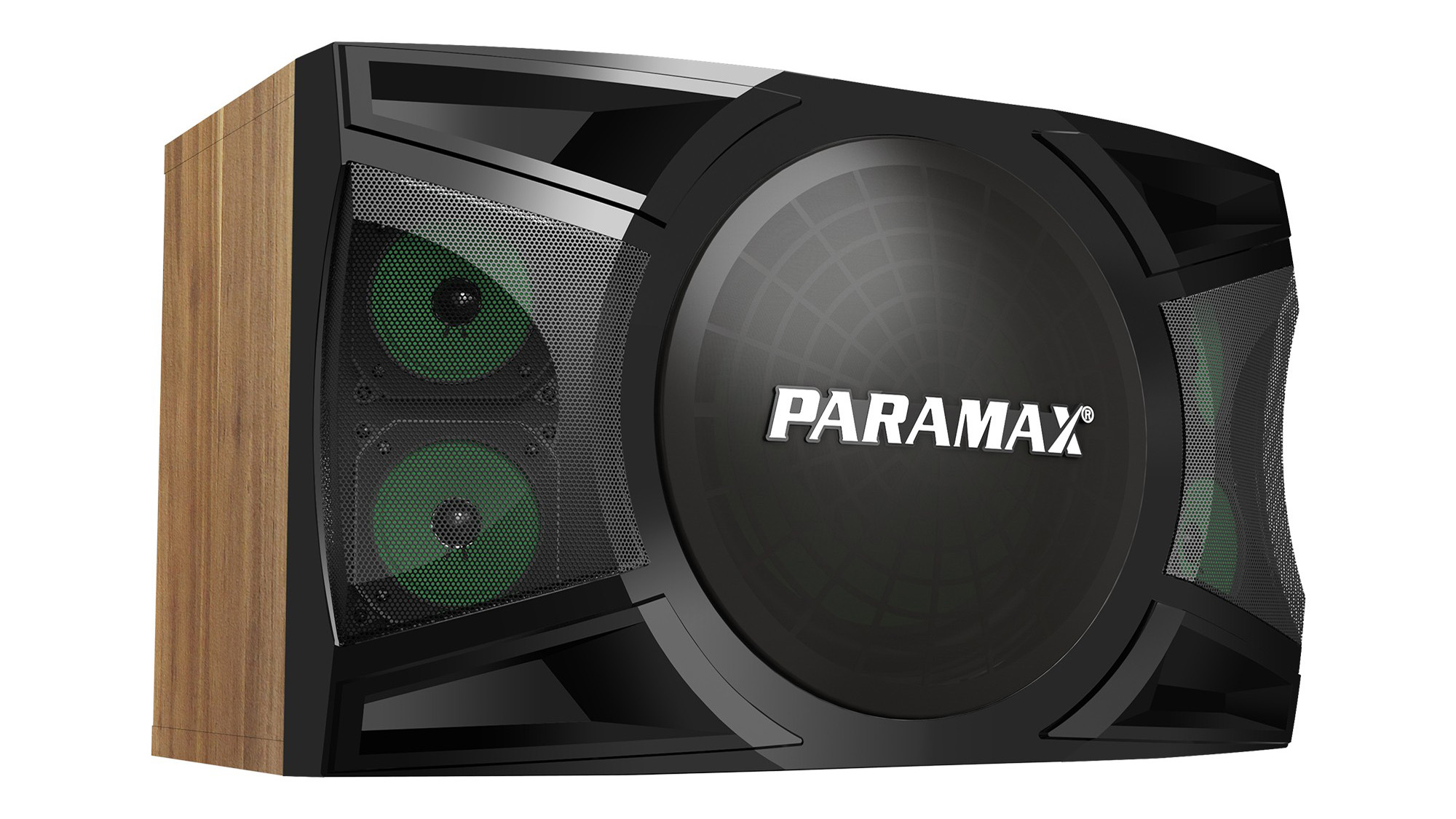 Loa Karaoke Paramax P-1500 mặt trước nghiêng