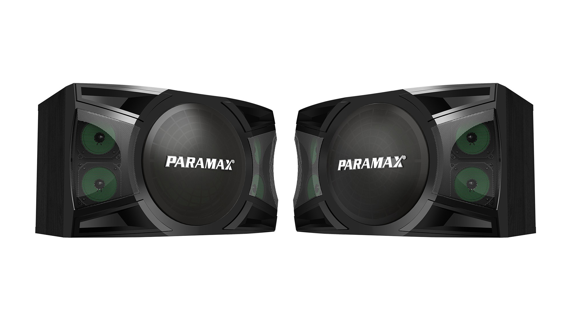 Loa Karaoke Paramax P-1500 cặp loa đen