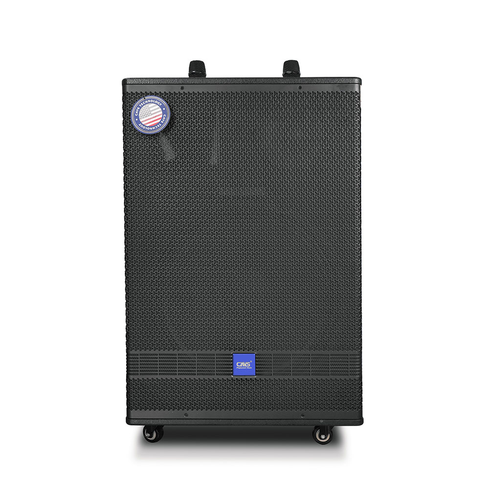 Loa Kéo Di Động CAVS PS15 bass 40cm