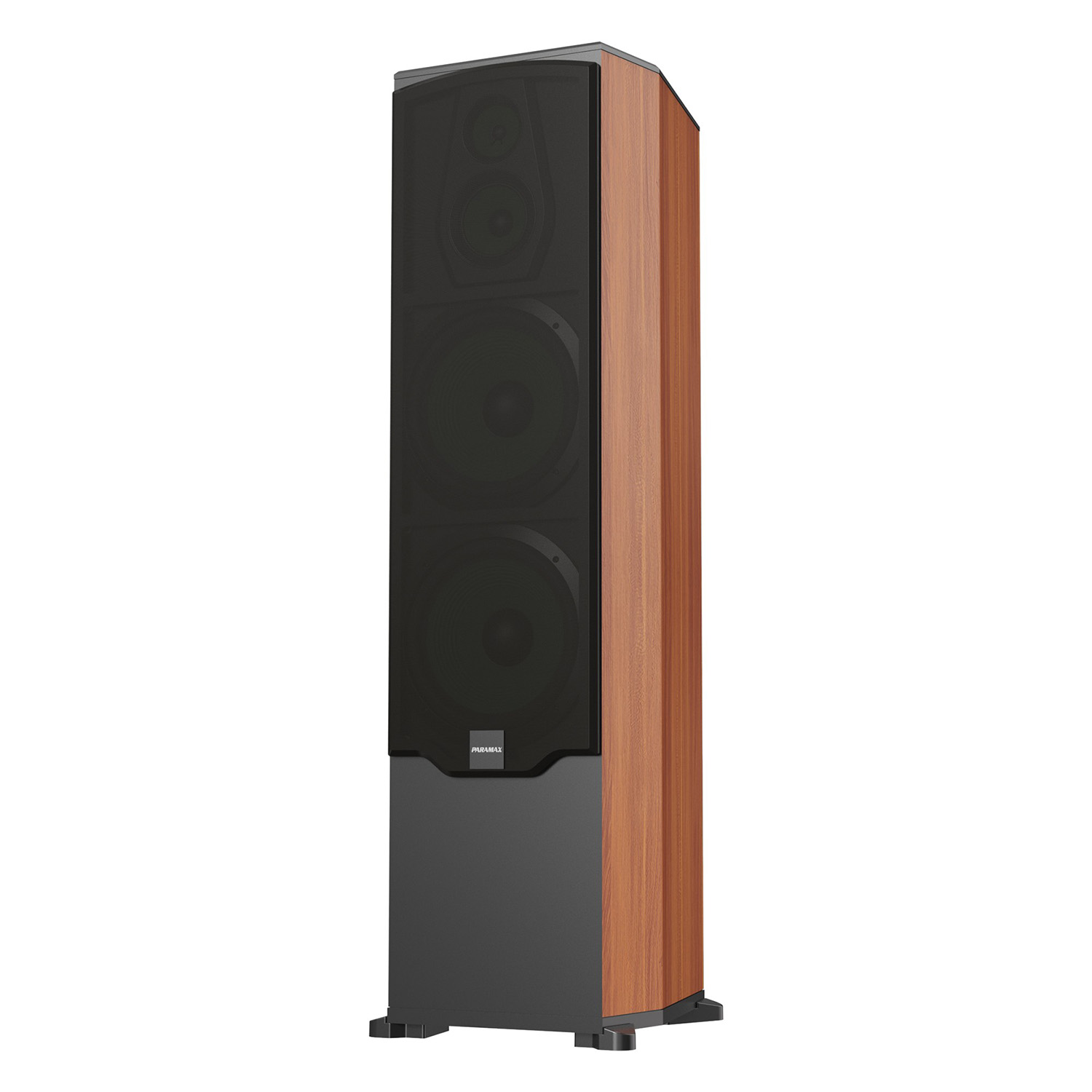 Loa Karaoke Paramax LX-2800 mặt nghiêng kèm lưới