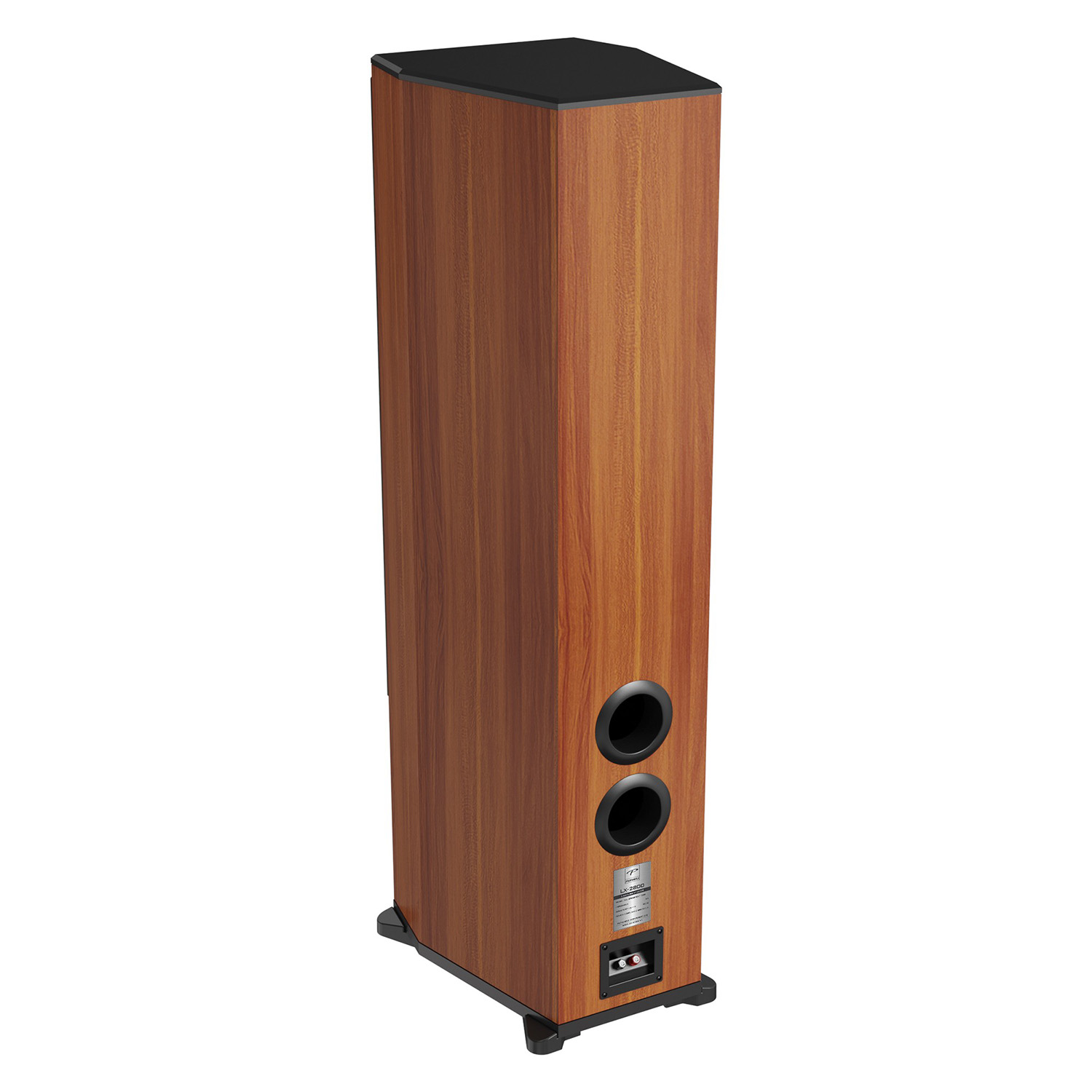 Loa Karaoke Paramax LX-2800 mặt sau nghiêng