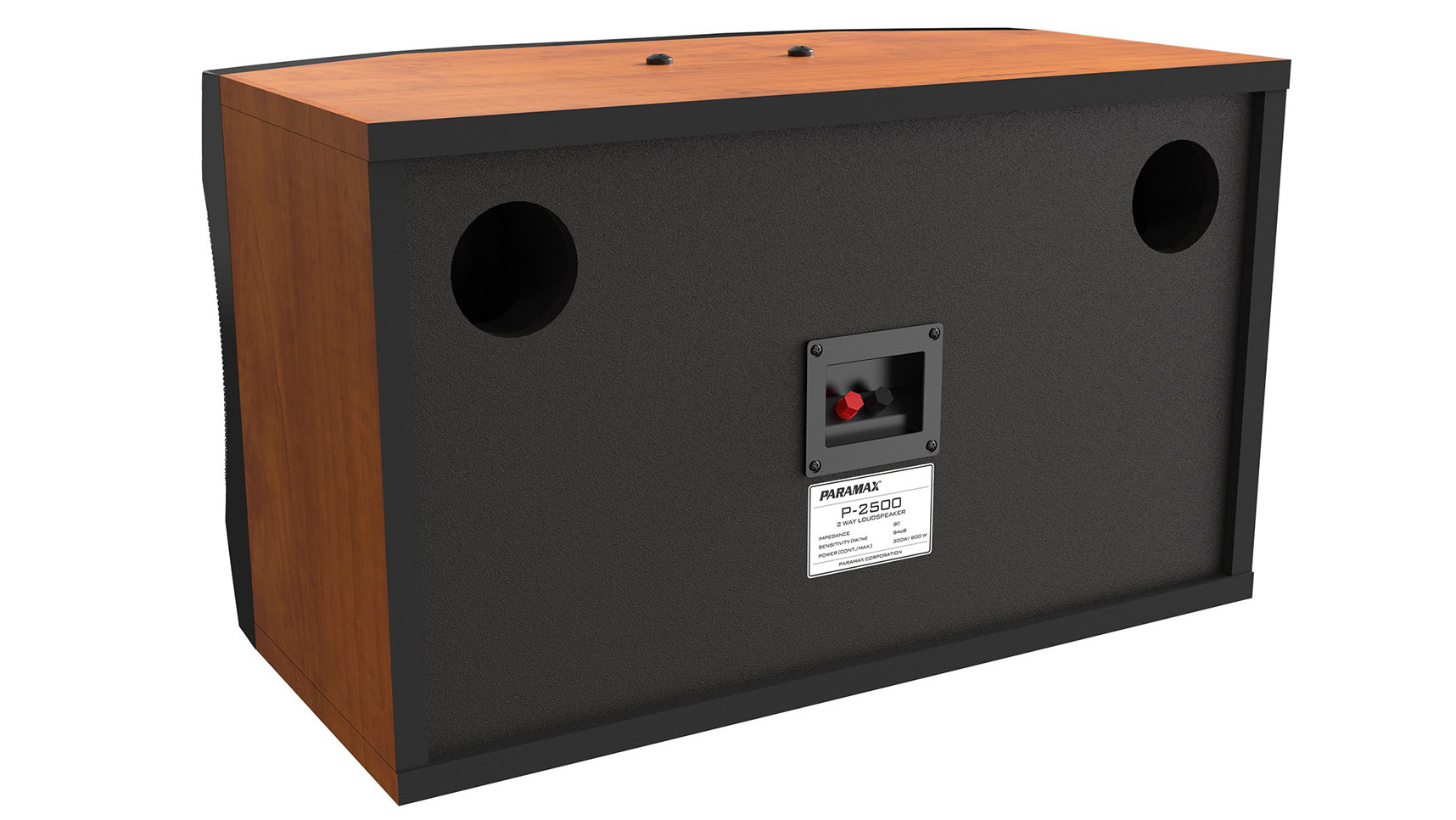 Ảnh sản phẩm Loa Karaoke Paramax P-2500 8