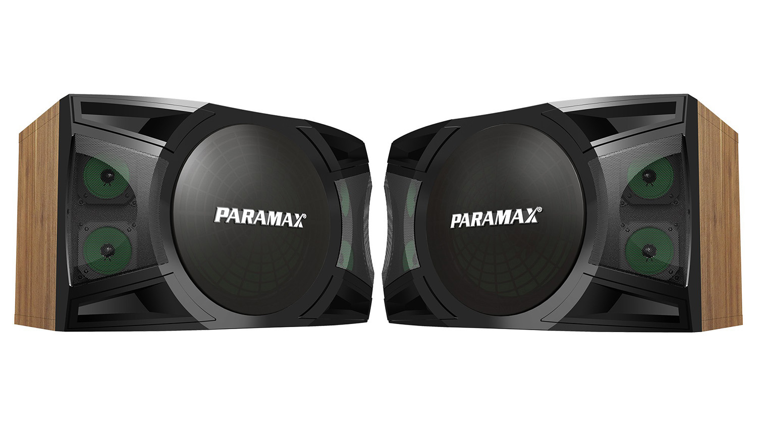 Ảnh sản phẩm Loa Karaoke Paramax P-2500 11