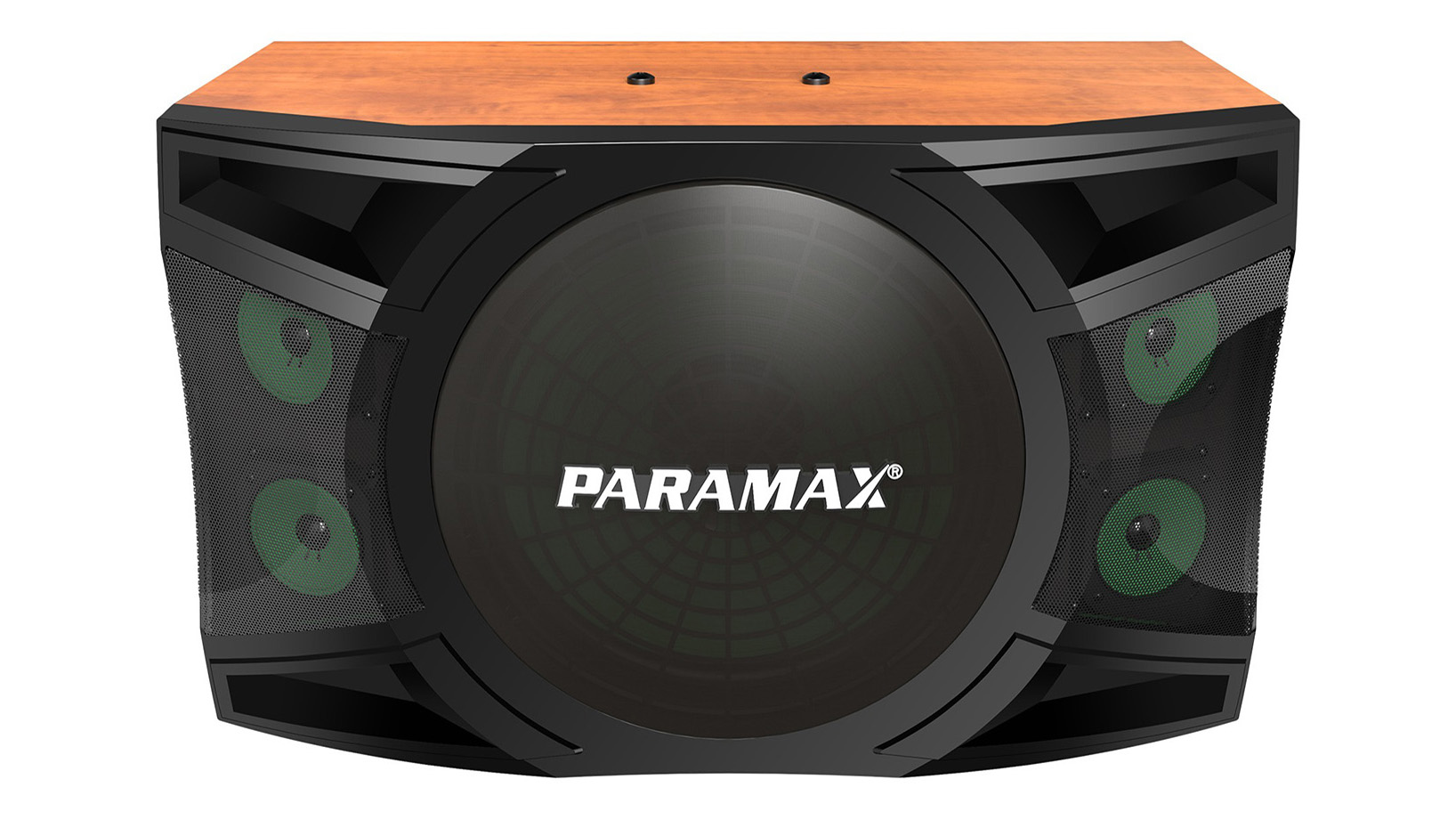 Ảnh sản phẩm Loa Karaoke Paramax P-2500 2