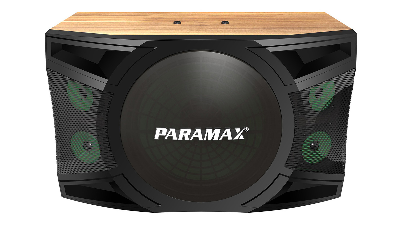 Ảnh sản phẩm Loa Karaoke Paramax P-2500 3