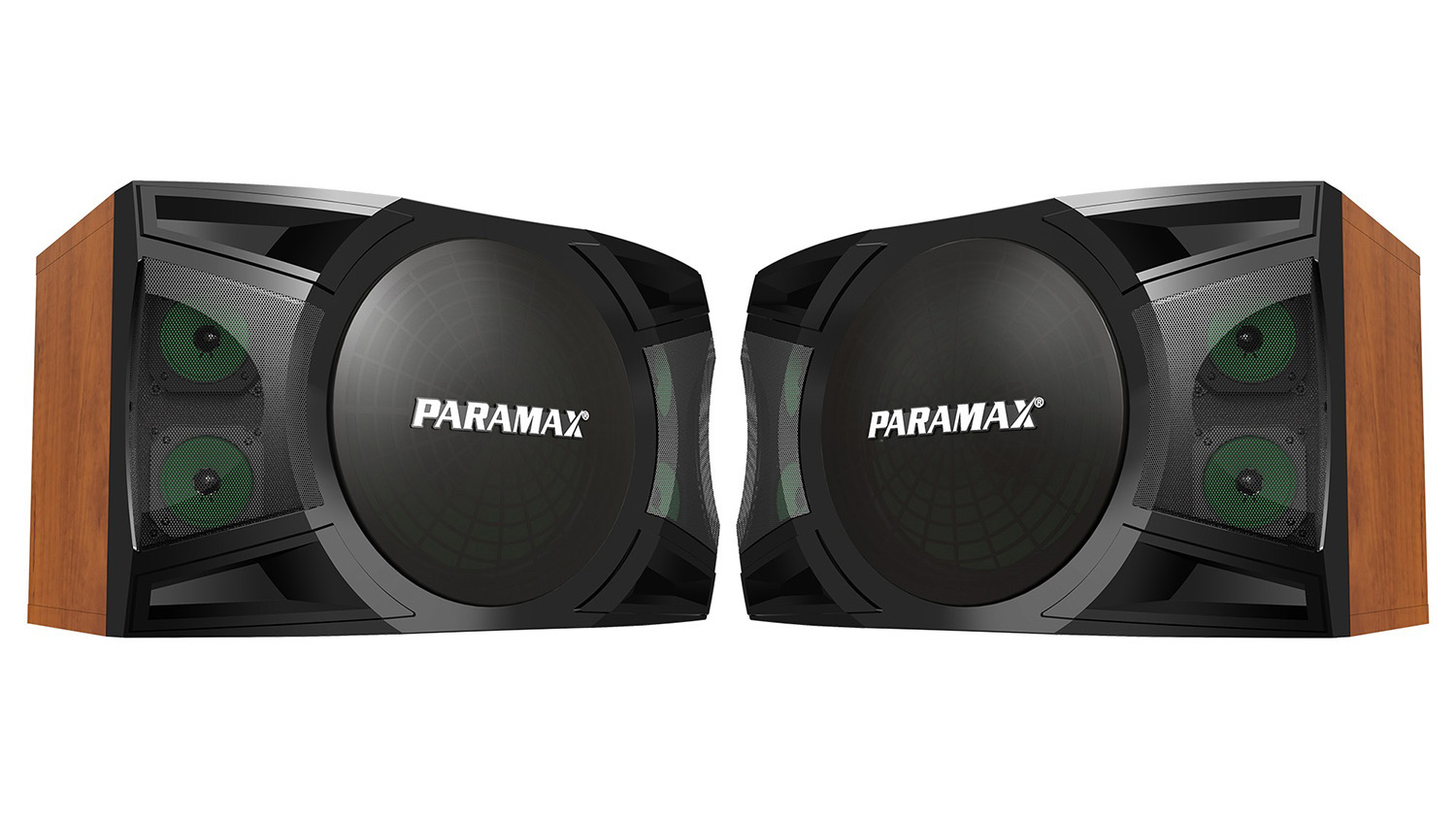 Ảnh sản phẩm Loa Karaoke Paramax P-2500 6