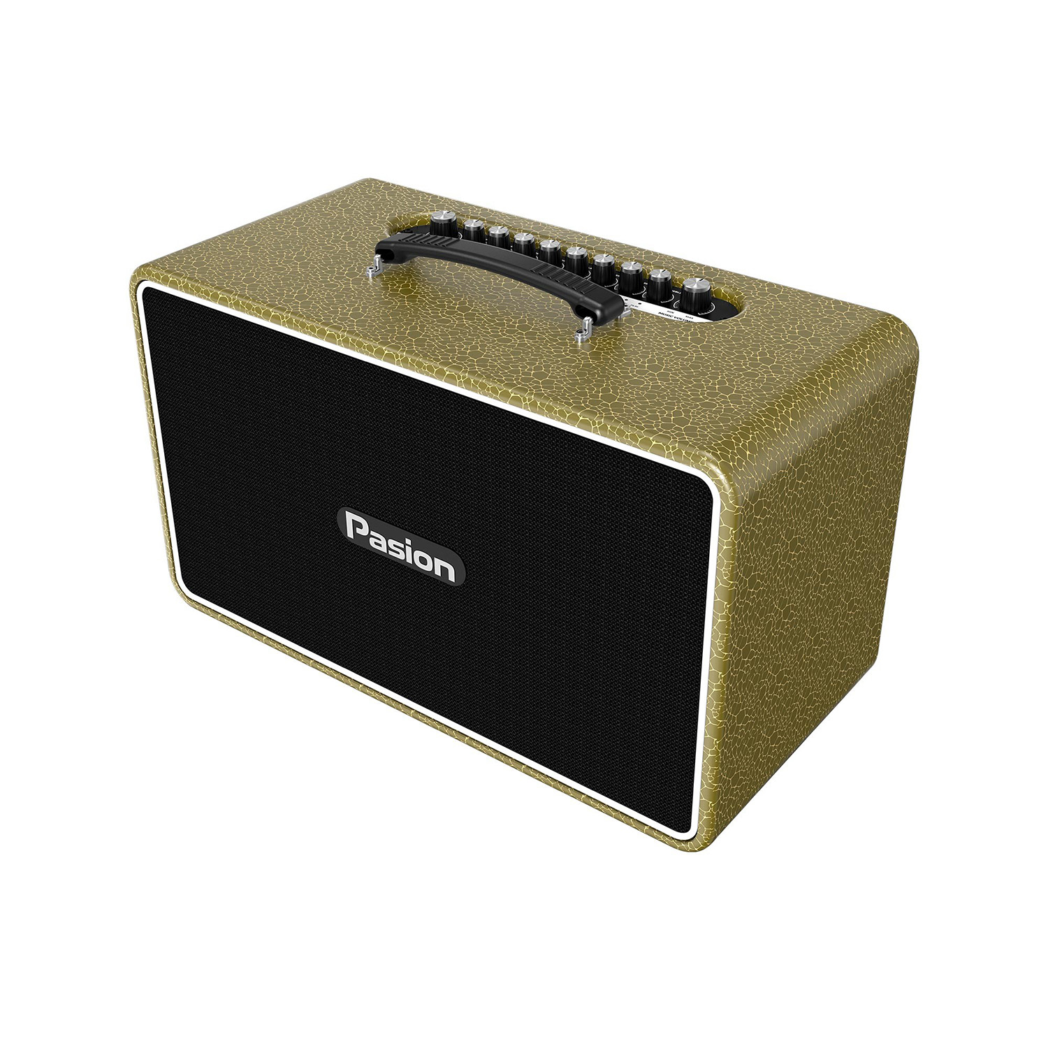 Loa Karaoke Di Động Paramax Pasion Arte vàng