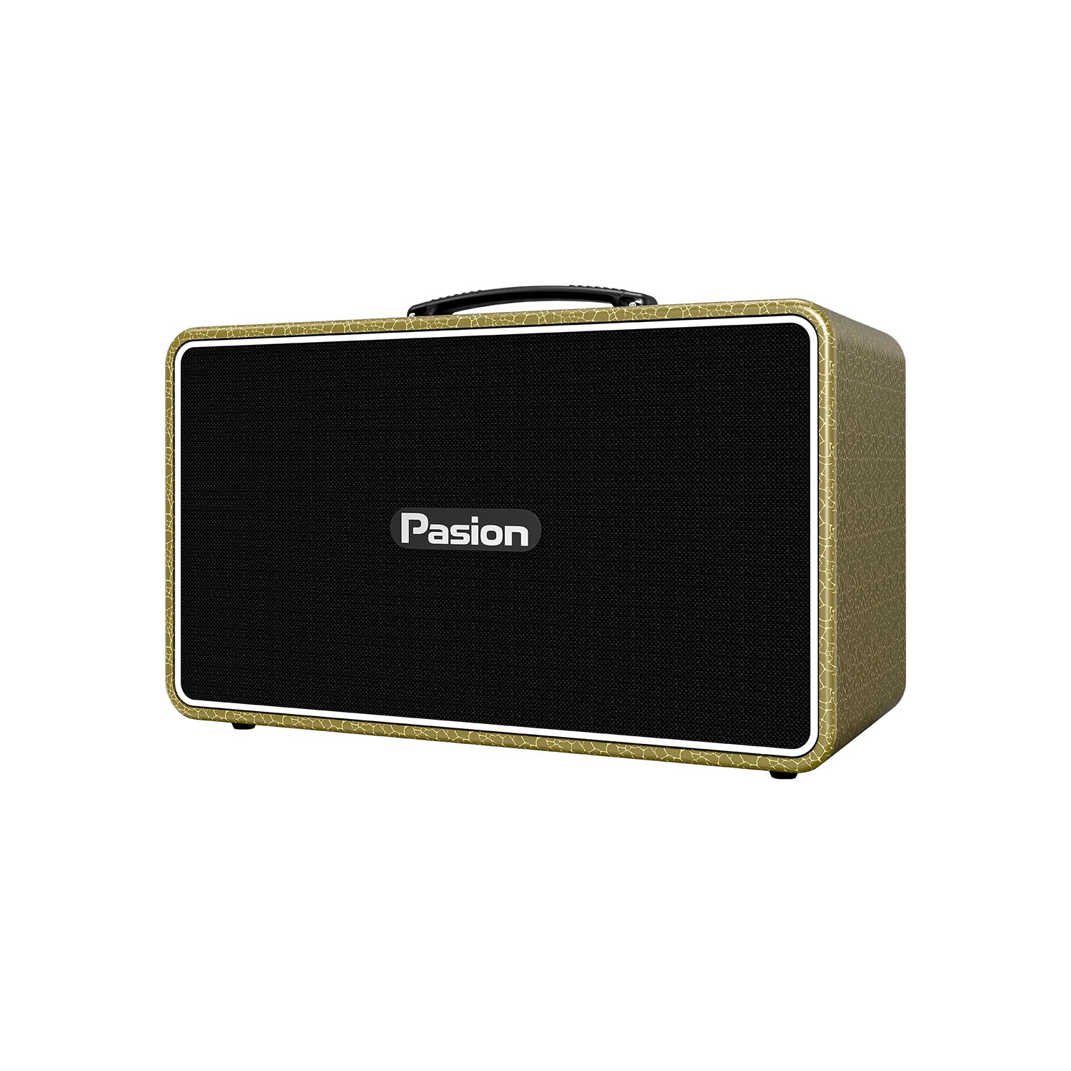 Loa Karaoke Di Động Paramax Pasion Arte vàng 1