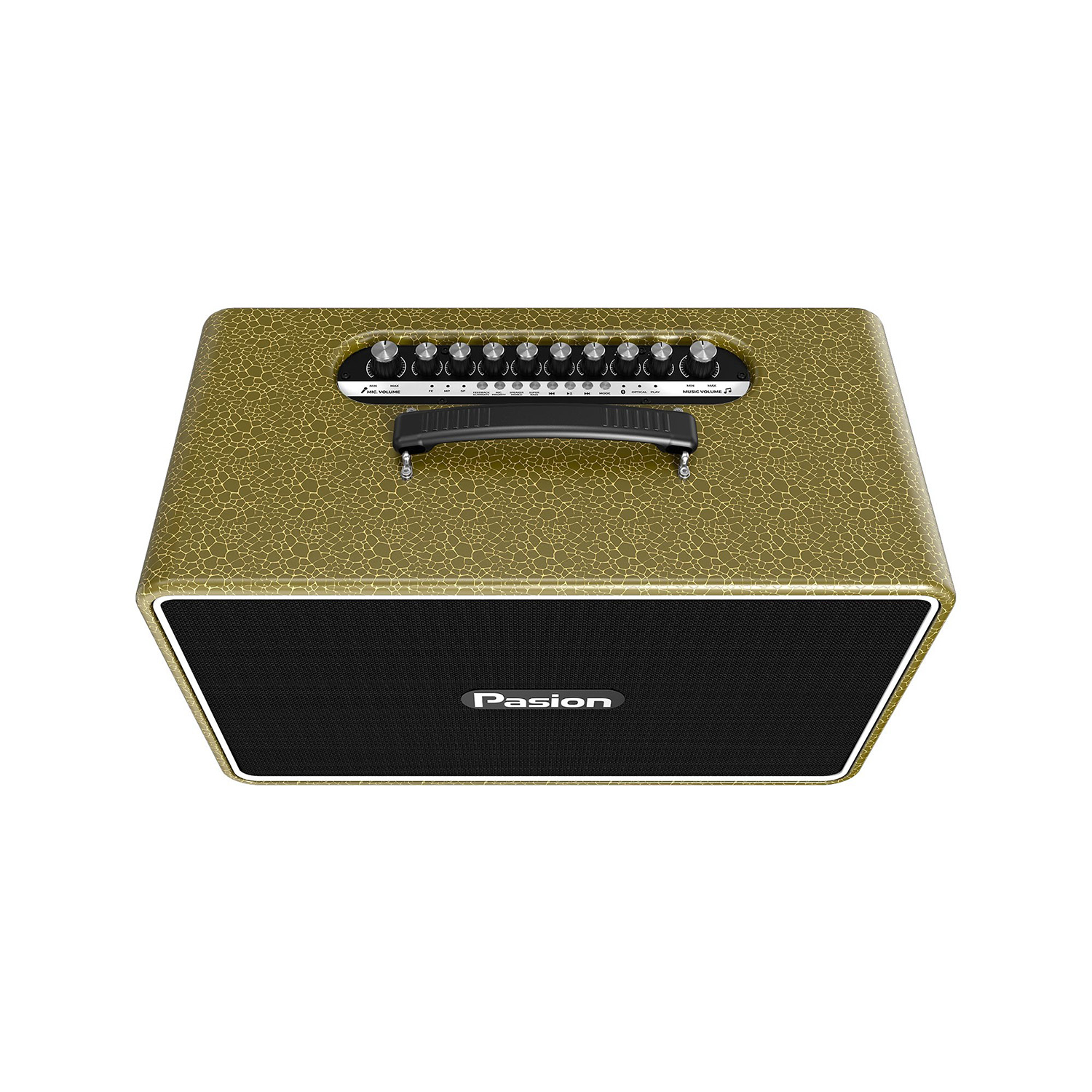 Loa Karaoke Di Động Paramax Pasion Arte vàng 2