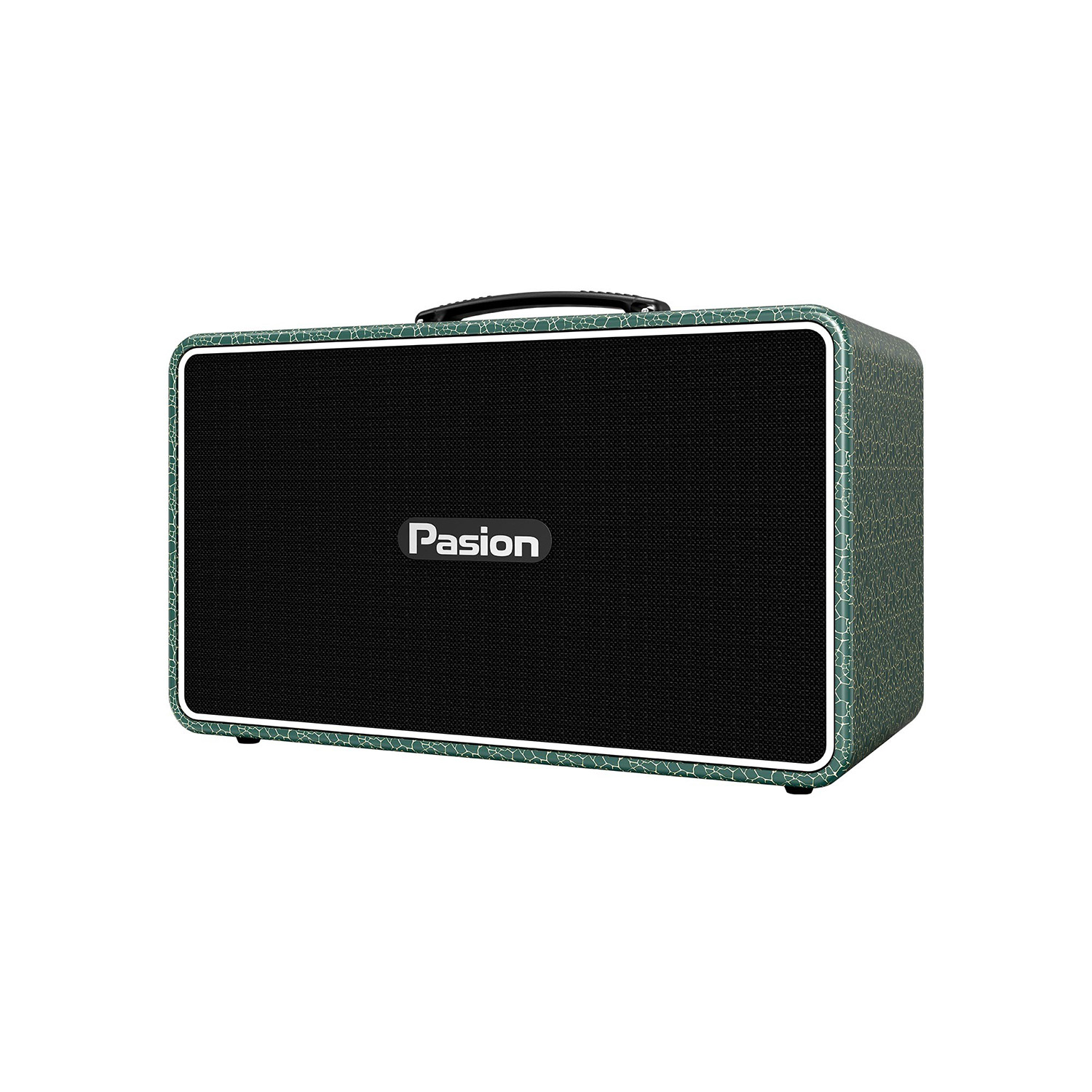 Loa Karaoke Di Động Paramax Pasion Arte xanh rêu 2